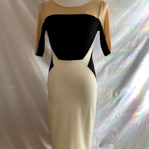 Bebe Bodycon Stretch Nude Black and White Mini